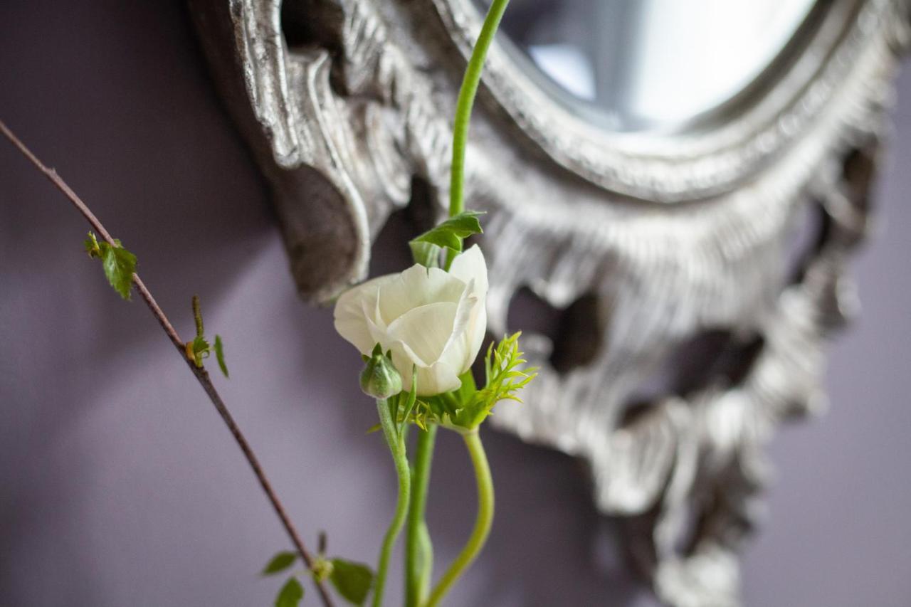Bed and Breakfast Dorset House à Lyme Regis Extérieur photo